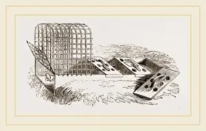 Nature Inspired Design Drucke: Improved Artificial Mother