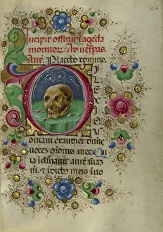 15th Century Artwork Drucke: Initial D: A Skull in a Rocky Field