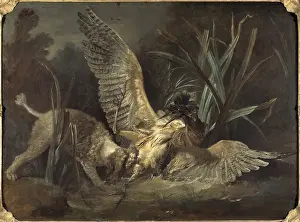 Gerahmter Druck : Jean-Baptiste Oudry Spaniel Bittern Poodle.