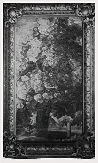 Bird Watching Images Drucke: Landscape large tree birds