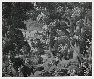 Nature Landscapes Drucke: Landscape stream