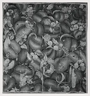 Fruiting Plant Life Drucke: Large-leaf verdure fruit