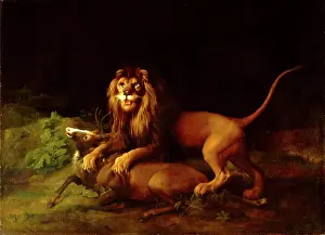 British Animal Paintings Drucke: A Lion Attacking a Stag Lion devouring a stag, George Stubbs, 1724-1806, British