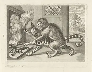 Affe zwingt Katze Nuss entfernen Feuer Viele Tiere