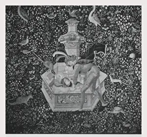 Monochromatic Artwork Drucke: Narcissus