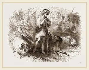 Oriental Shepherds