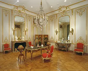 European Luxury Interiors Drucke: Paneled Room