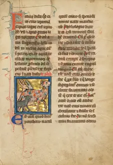 Gold Leaf Illumination Drucke: A Panther