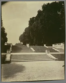 French Photography Collection Drucke: Parc de Saint-Cloud