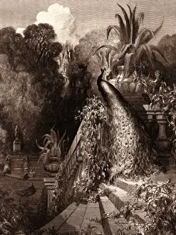 Nineteenth Century Romanticism Drucke: The Peacock Complaining to Juno, by Gustave Dore