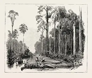 Victorian Style Engraved Image Drucke: Road Making, and Draining the Land, Sumatra, Indonesia, 1890 Engraving