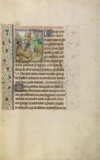 Saint George Art Drucke: Saint George and the Dragon