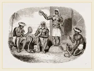 Natural History Museum Collection Drucke: Serpent-Charmers