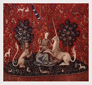 Medieval Tapestry Drucke: Sight