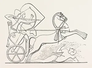 Horse In Battle Scene Drucke: Source Size = 2071 x 1511