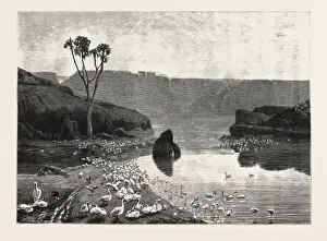 Egyptian History Pictures Drucke: Source Size = 3056 x 4236