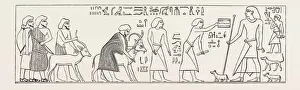 Middle East Illustration Drucke: Source Size = 3142 x 924