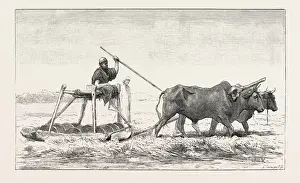 Middle East Culture Drucke: Source Size = 3163 x 1897
