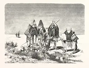 Egyptian Art History Drucke: Source Size = 3176 x 2360