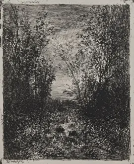 Bachstrom ursprüngliche Eindrücke Originaldruck 1862
