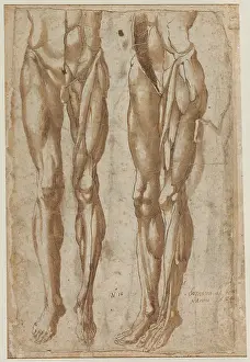 Gerahmter Druck : Zwei Studien Fläzter Mann recto Studie Fläztes Torso Gerahmter Druck : Zwei Studien Fläzter Mann recto Studie Fläztes Torso