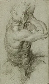 Studium von Tritons Pfeifenblasen mit einer Schnecke (Vorside), Teilstudie der