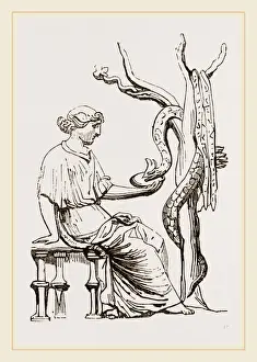 Nature Inspired Prints Drucke: From the Townley Gallery