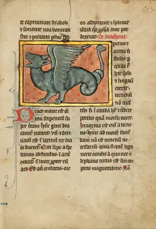 Gerahmter Druck : Ein flugender Drache Gerahmter Druck : Ein flugender Drache