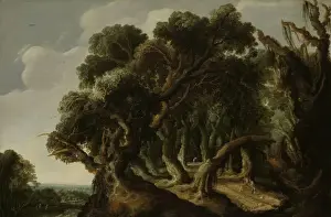 Gewöhnlicher Waldlandschaft Landschaft Landschaftselevation