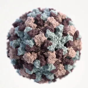 RNA Virus Structure Drucke: A 3D graphical representation of a single Norovirus