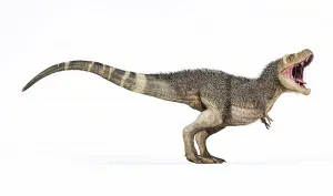 Tyrannosaurus Rex Illustration Drucke: 3D rendering of T-rex with feathers