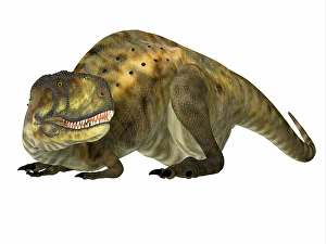 Theropod Predator Drucke: Abelisaurus dinosaur lying down