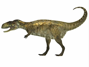 Theropod Predator Drucke: Abelisaurus dinosaur, white background