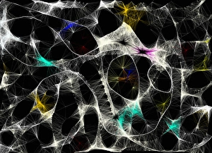 Digital Artwork Background Drucke: Abstract wavy lines pattern