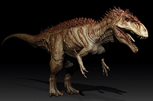 Mesozoic Era Wildlife Images Drucke: Acrocanthosaurus dinosaur, side view