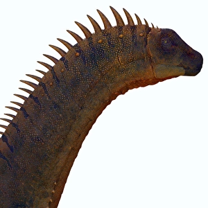 Prehistoric Creatures Drucke: Alamosaurus Dinosaur Head