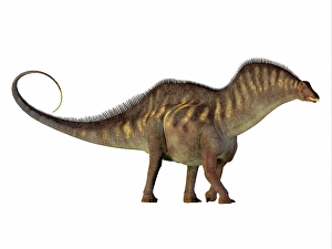 Digitally Generated Images Drucke: Amargasaurus dinosaur, side profile