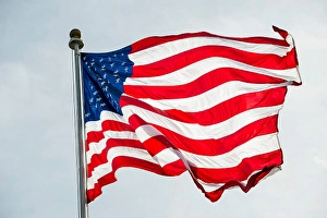 American Flags Waving Drucke: The American flag waves in the wind