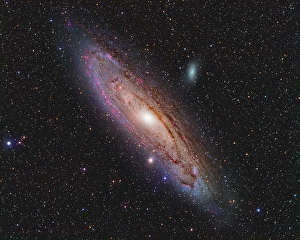 Astronomy Photos Drucke: Andromeda Galaxy
