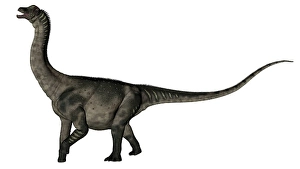 Cretaceous Era Dinosaurs Drucke: Antarctosaurus dinosaur - 3D render