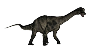 Prehistoric Animal Images Drucke: Antarctosaurus dinosaur - 3D render
