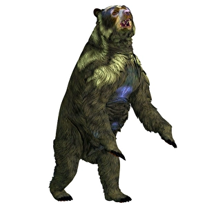 Ursidae Family Members Drucke: Arctodus bear rearing up