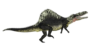 Archosauria Species Drucke: Arizonasaurus dinosaur roaring