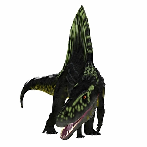 Prehistoric Predators Drucke: Arizonasaurus dinosaur, front view on white background