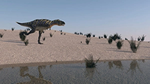 Extinct Mesozoic Era Creatures Drucke: Aucasaurus running along the shore