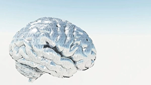 Human Nervous System Illustration Drucke: Binary Brain. 3D rendered