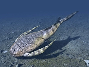 Prehistoric Sea Life Drucke: Bothriolepis is an extinct placoderm from the Late Devonian of Canada