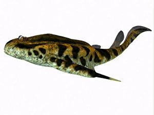 White Background Wildlife Art Drucke: Bothriolepis fish, side profile