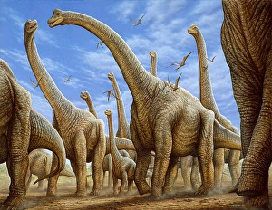 2021 Drucke: Ein Herd Brachiosaurier auf dem Weg.