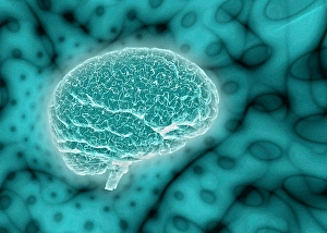 Biomedical Illustrations Of The Brain Drucke: Brain on psychedelic background
